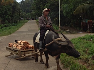 Local Cargo Vehicle
