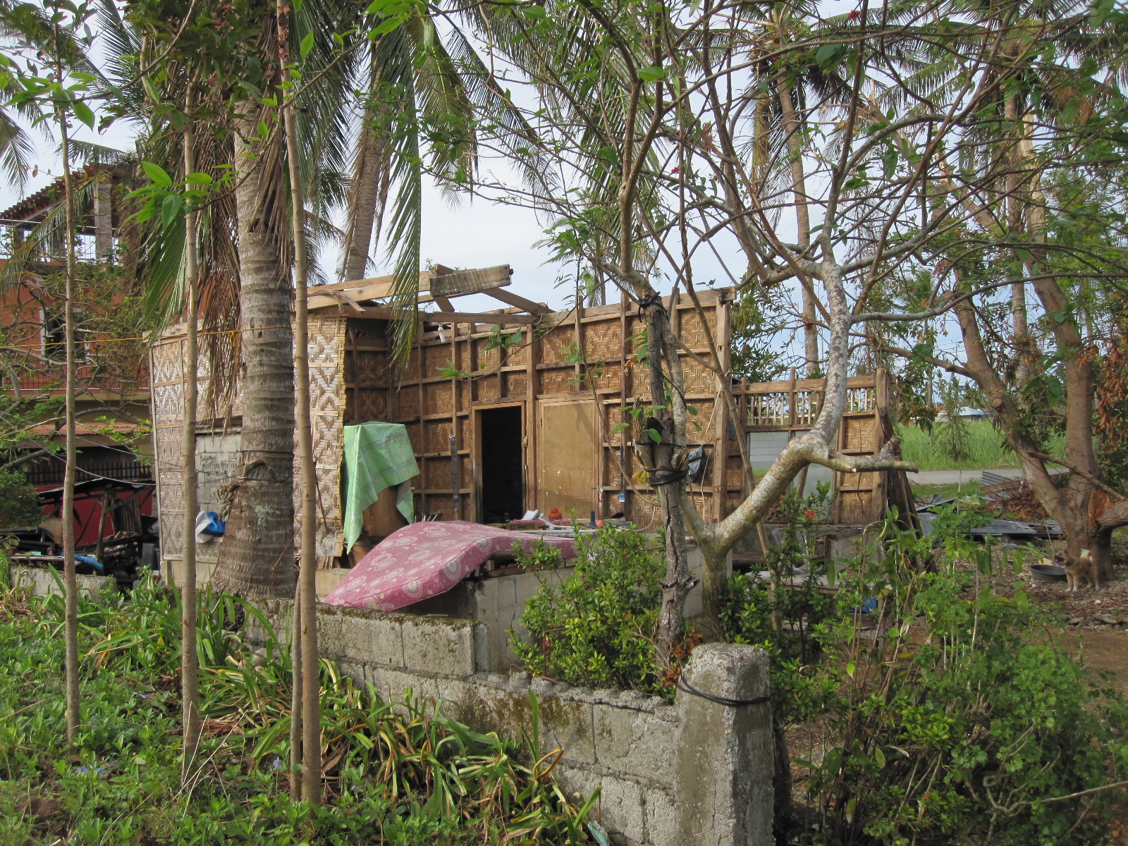 Typhoon_Destroyed House_Pastor's Mother